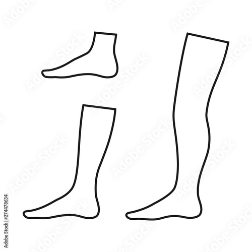 Set of contours of the foot, shin and leg