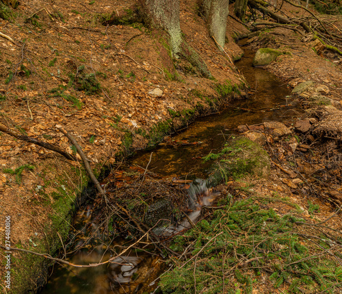 Drive of creek in mountains Krusne in north Bohemia in spring day