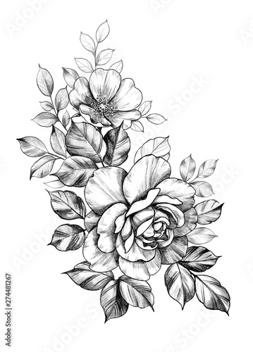 Hand drawn Floral Decoration with Rose Flowers