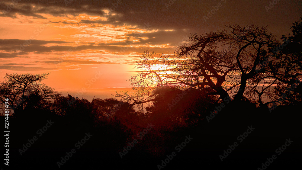 Abend im Kuthengo Camp Abend im Kuthengo Camp