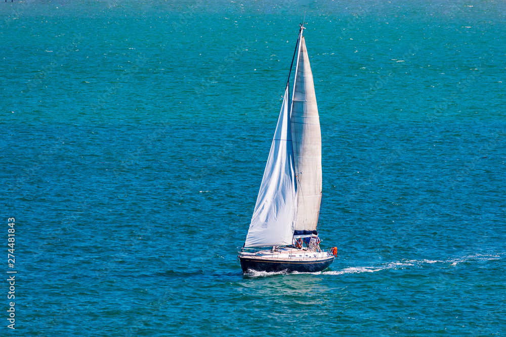 Fototapeta premium Sport sailing ship sailing through bay with calm sea and blue sky. Space to insert your text. Santander (Spain)