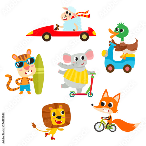 Kids transport collection with cute cartoon animals isolated on white.