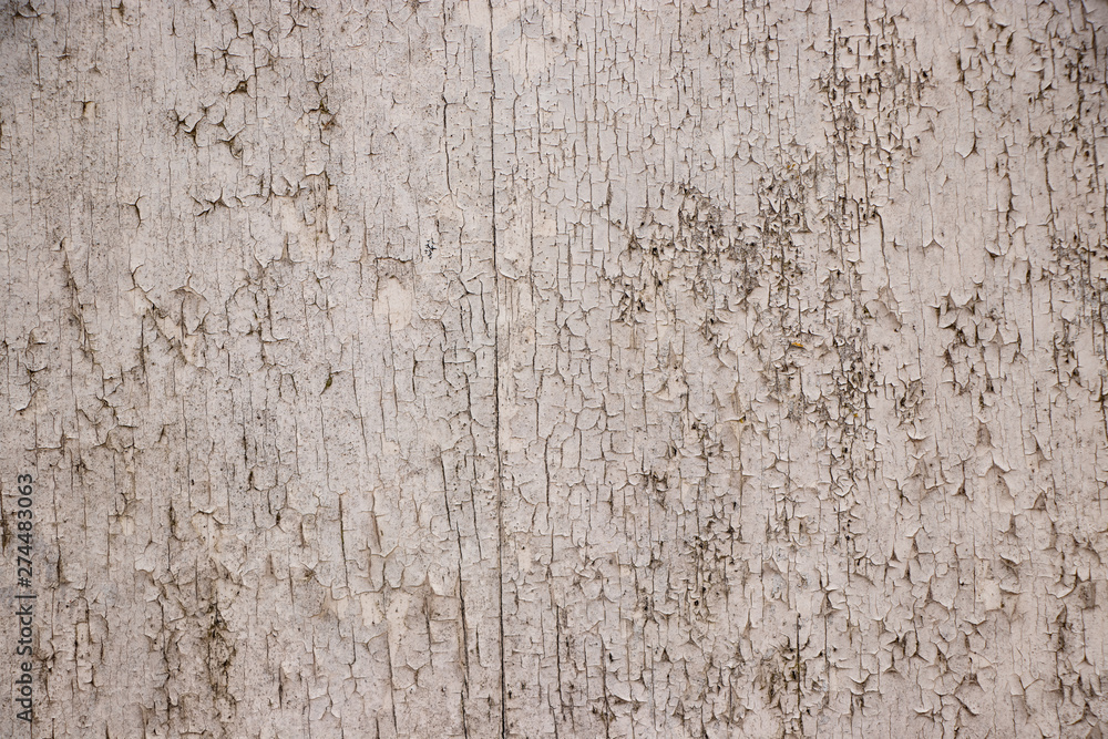 Fototapeta premium White painted grunge wall rough texture