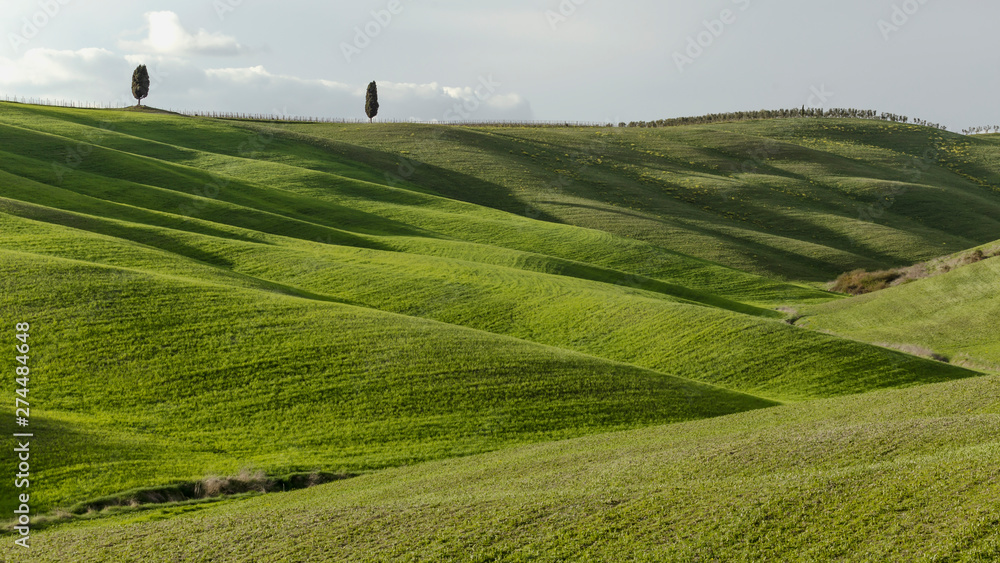 Obraz premium Wiosenne toskańskie wzgórza