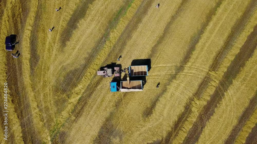 aerial view of agricultural machinery on the wheat field, agriculture scene with agricultural machinery in the countryside, Aerial view flying over the combine harvester and tractor and trailer on the aerial view of agricultural machinery on the wheat field, agriculture scene with agricultural machinery in the countryside, Aerial view flying over the combine harvester and tractor and trailer on the