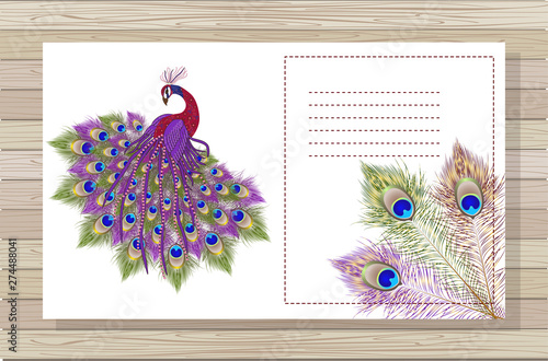 Beautiful background peacock and feathers with space for text. Vector. EPS 10