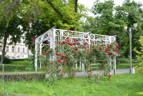 Flower Fence