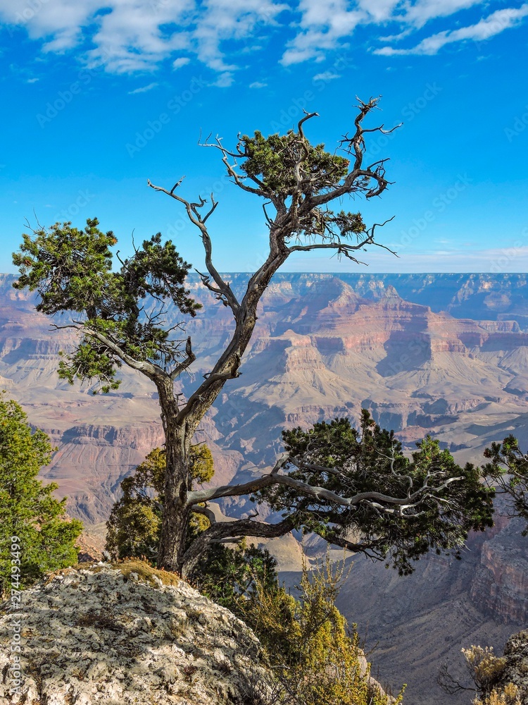 Sky blue background. Natural landscape. Beautiful nature landscape panorama. Grand canyon national park, arizona, usa. Sky blue background. Natural landscape. Beautiful nature landscape panorama. Grand canyon national park, arizona, usa.