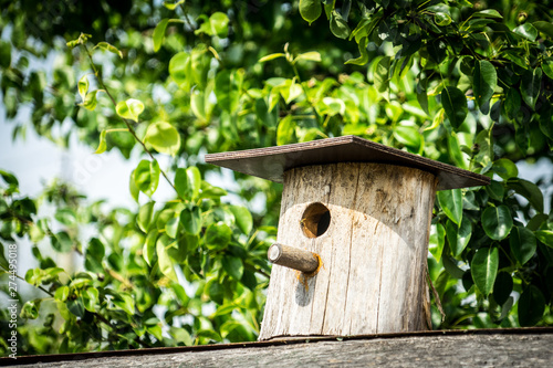 birdhouse. Wooden house for birds. Birdhouse on a background of green foliage.