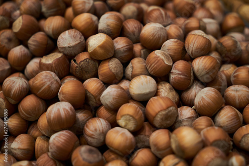 Hazelnuts in shell background, close-up. Fresh unpeeled hazelnuts
