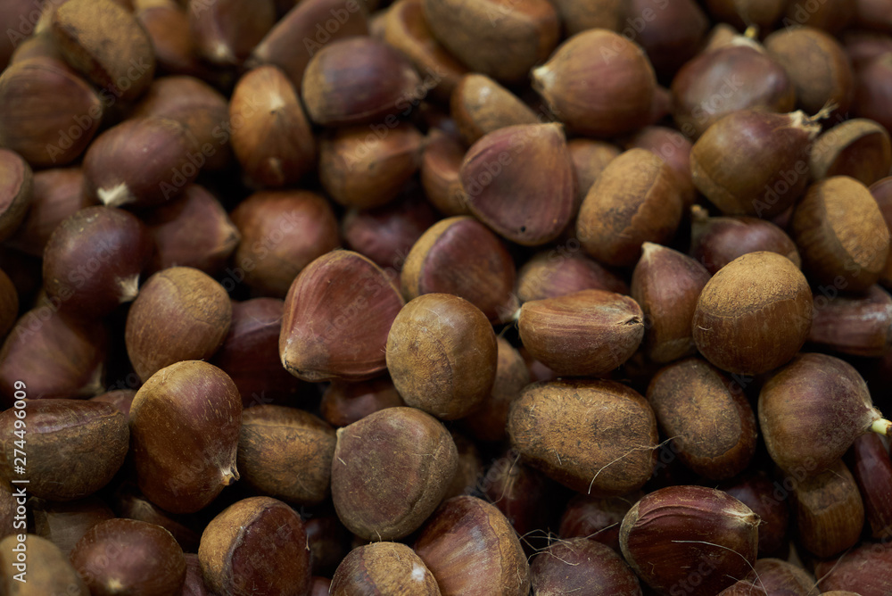 Chestnut in shell texture background. Unpeeled Chestnut Chestnut in shell texture background. Unpeeled Chestnut