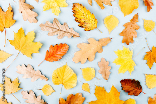 Autumn composition. Pattern made of autumn  leaves. Flat lay  top view  copy space