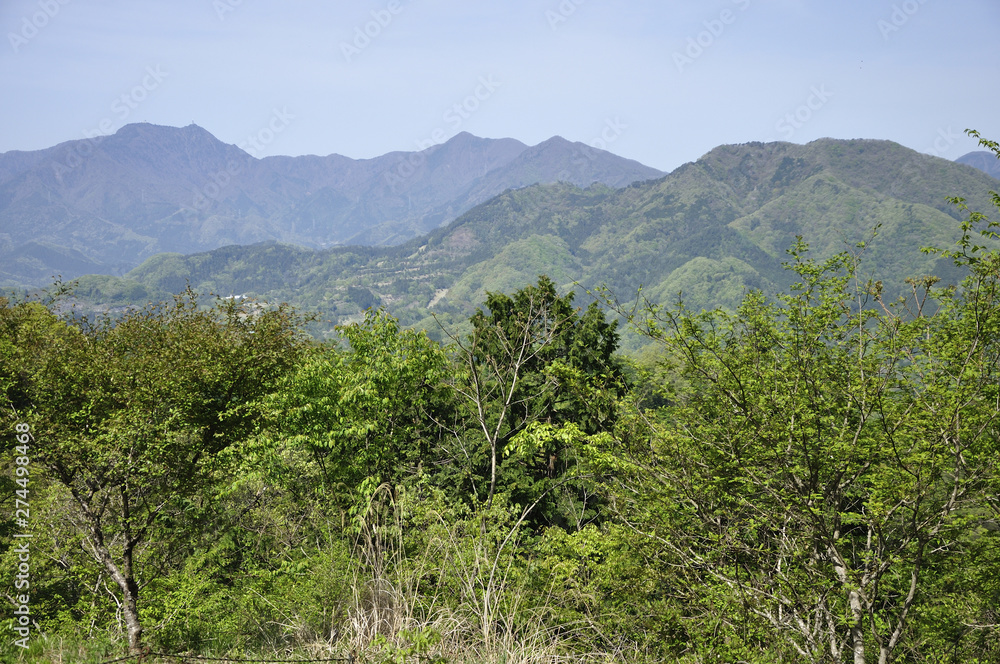 Fototapeta premium 緑の山並