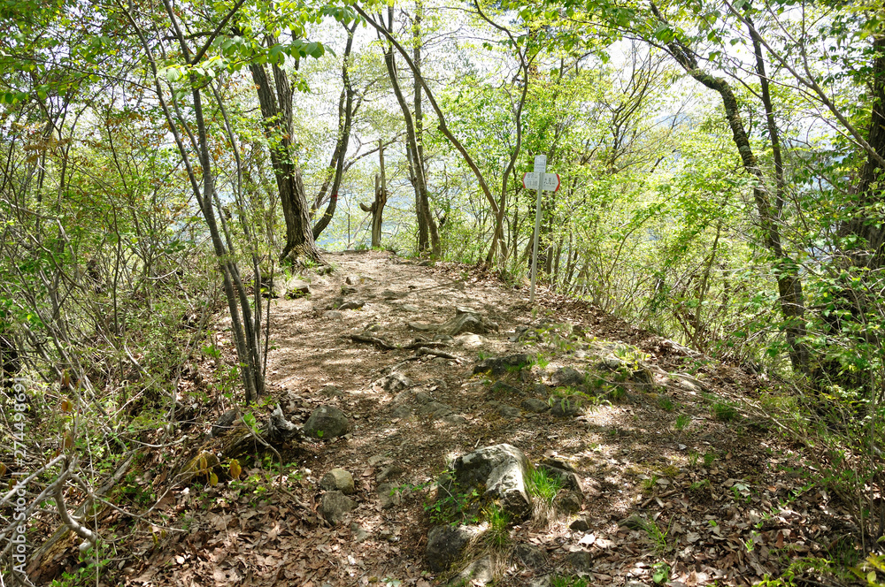 道志山塊 馬立山 道志山塊 馬立山