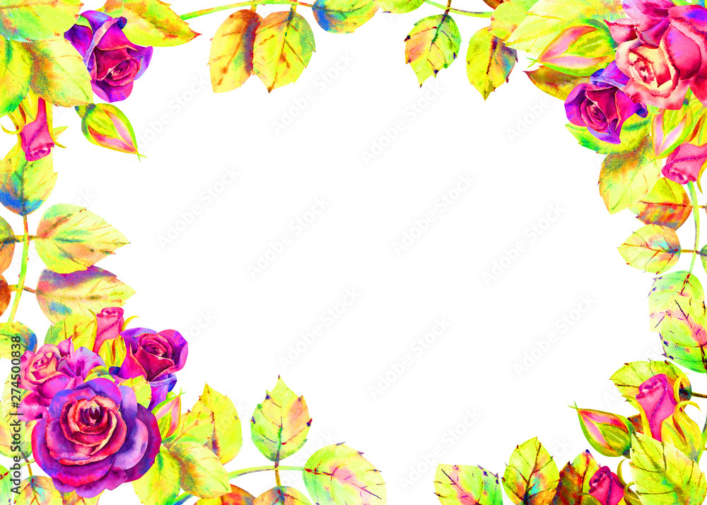 Flowers of dark roses, green leaves, composition. Horizontal frame orientation . The concept of the wedding flowers. Watercolor compositions for the design of greeting cards or invitations. Flowers of dark roses, green leaves, composition. Horizontal frame orientation . The concept of the wedding flowers. Watercolor compositions for the design of greeting cards or invitations.