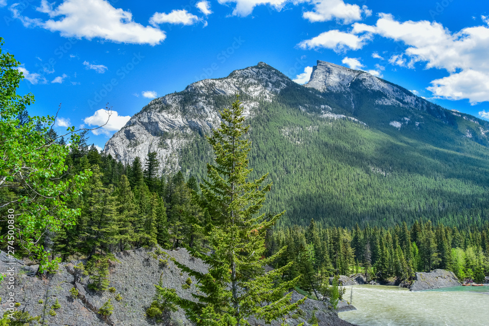 Fototapeta premium View from Bow Falls Trail Banff National Park Canada.