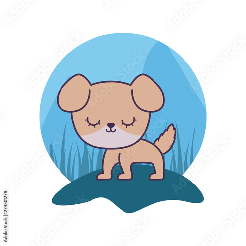cute dog animal isolated icon