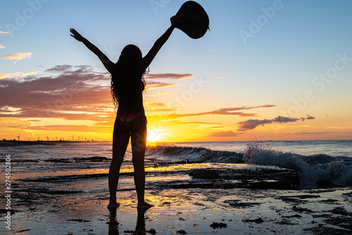 Scenic sunset over the sea. The sun sets on the water. Clouded sky is painted with bright colors. Sunset beach in a summer evening. Brazil. photo