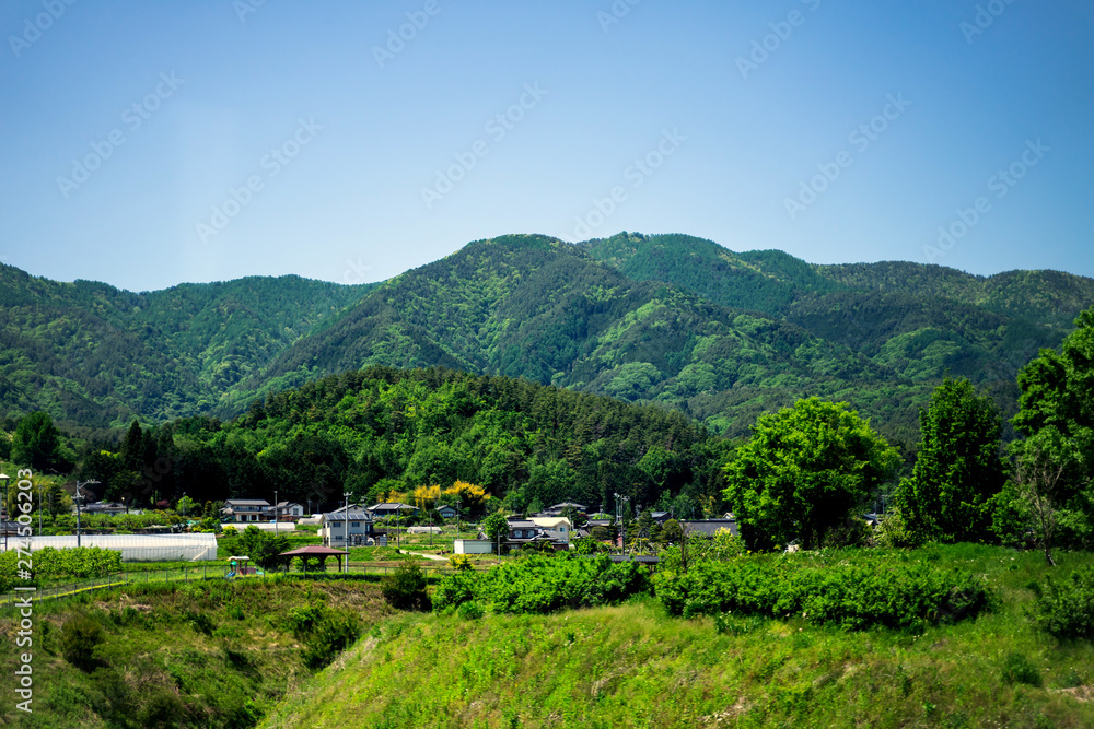 Village near the green mountains, bright with trees on the bright sky