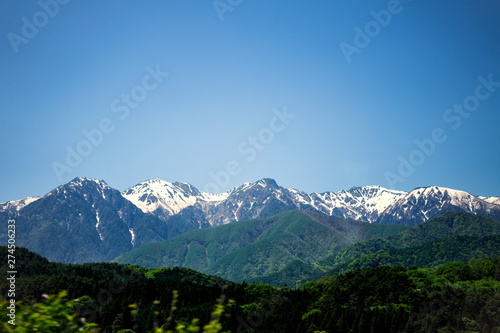 The iceberg near the green forest is bright with trees on the bright sky.