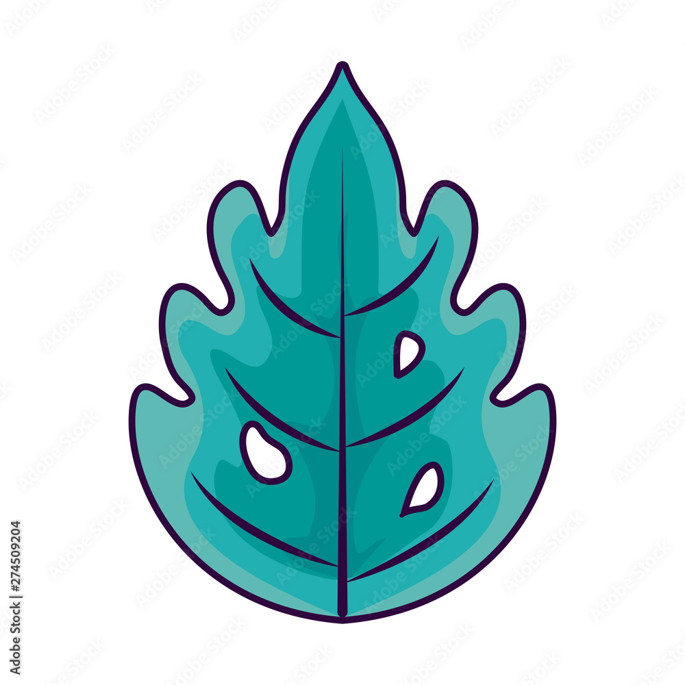 summer leaf natural isolated icon
