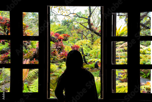 Silhouette woman looking out of window see view nature.concept thniking a freedom.