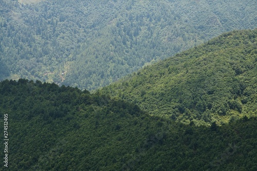 Layered Hills Covered in Trees