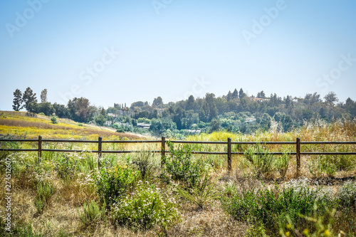 Countryside with Fence 