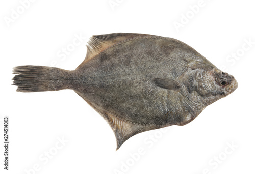 Tablou canvas Flatfish or plaice fish isolated on white background
