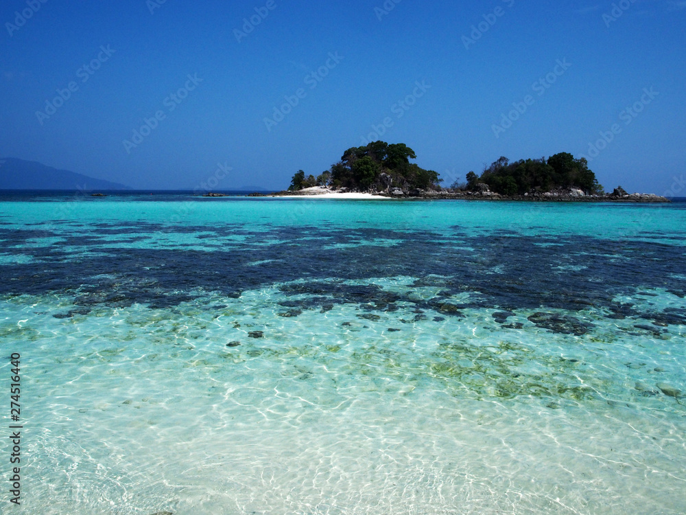 Naklejka premium OLYMPUS DIGITAL CAMERA