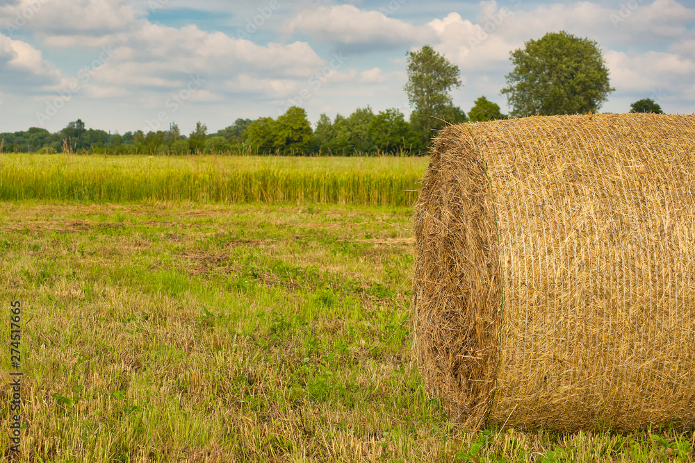 bales of hay in field