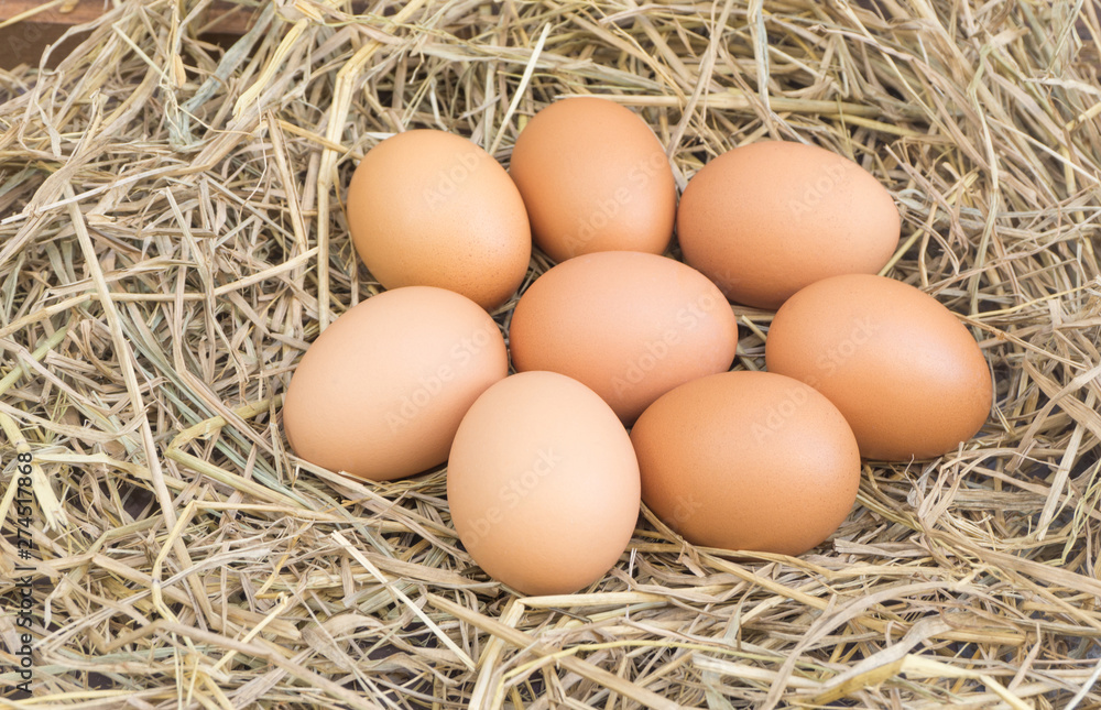Close up chicken eggs on straw with wooden .Fresh eggs from farm for cooking. Close up chicken eggs on straw with wooden .Fresh eggs from farm for cooking.