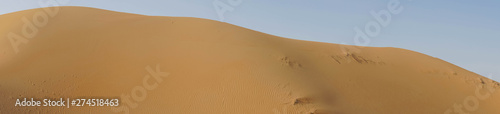 Panorama der arabischen Sandwüste