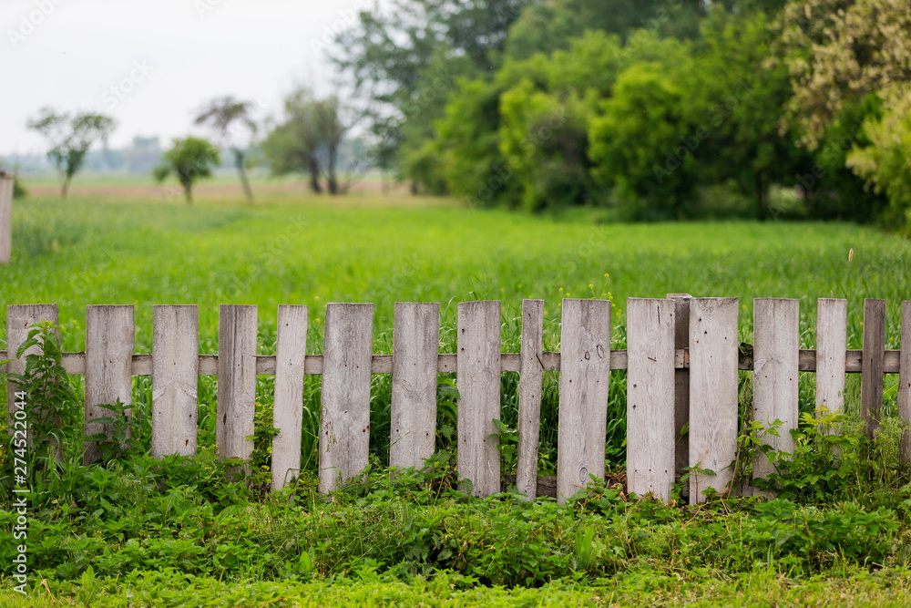 plain wooden rustic fence and green nature