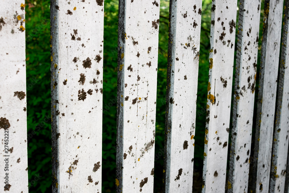 Old rustic white fence in black speck Old rustic white fence in black speck