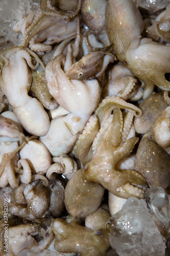Fresh octopuses are on the counter.