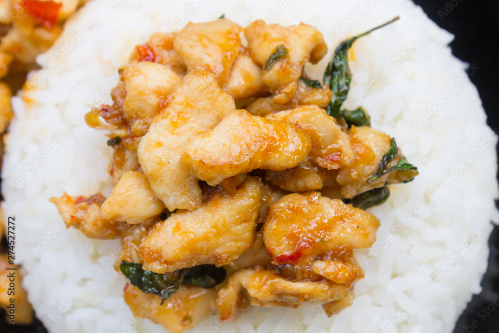 Stir-Fried Chicken and Holy Basil on Rice or Thai Food Recipe Flatlay Center Frame Stir-Fried Chicken and Holy Basil on Rice or Thai Food Recipe Flatlay Center Frame