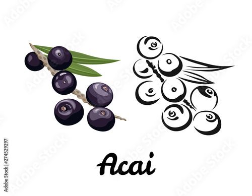 Acai icon set isolated on white background. Color illustration of ripe berry with a green leaf and black and white contour image. Vector outline and silhouette.