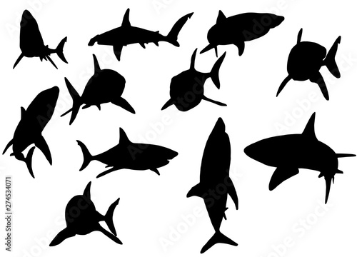 Graphical set of sharks silhouettes isolated on white background, vector illustration