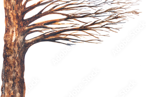 cornice acquerello albero sfondo bianco photo