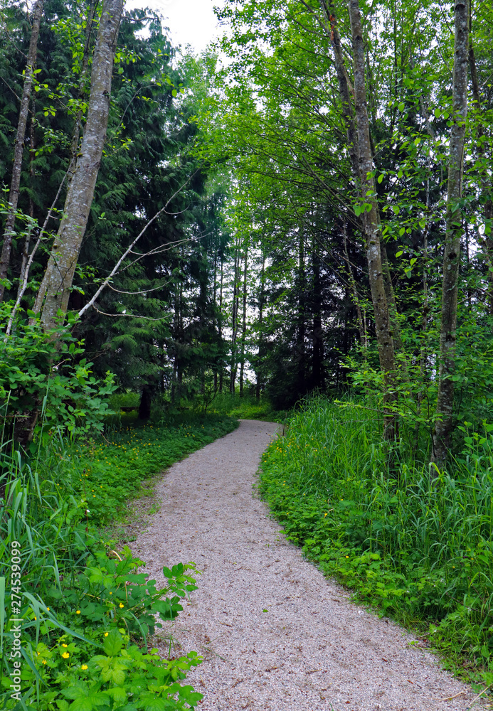 Curved gravel pathway through forested area of Campbell Valley Park, in Langley BC, Canada in springtime. Curved gravel pathway through forested area of Campbell Valley Park, in Langley BC, Canada in springtime.