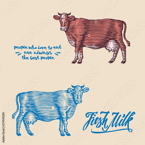 Cow farm design template. isolated objects. lettering elements
