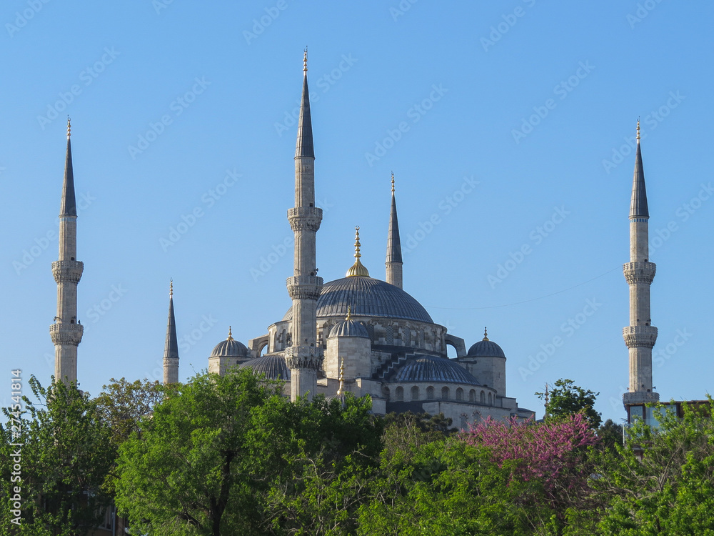 Blue Mosque in Istanbul, immersed in greenery