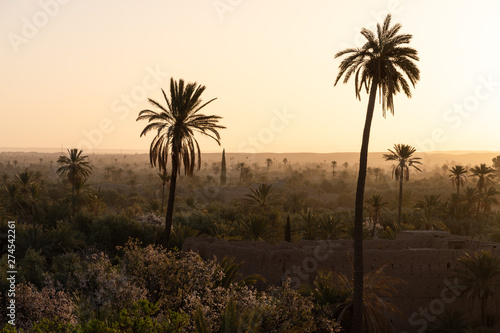 Palmeraie de Skoura au lever du soleil, Maroc