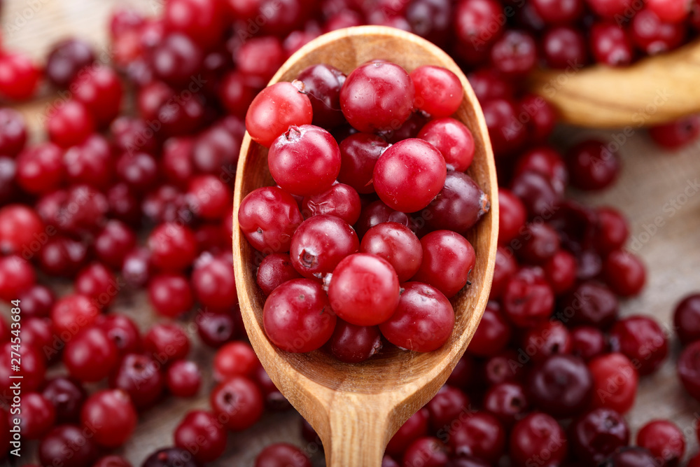 Fresh red forest cranberry in a spoon Fresh red forest cranberry in a spoon