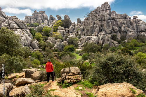 A young hiker man contemplating the inmensity of a natural park 