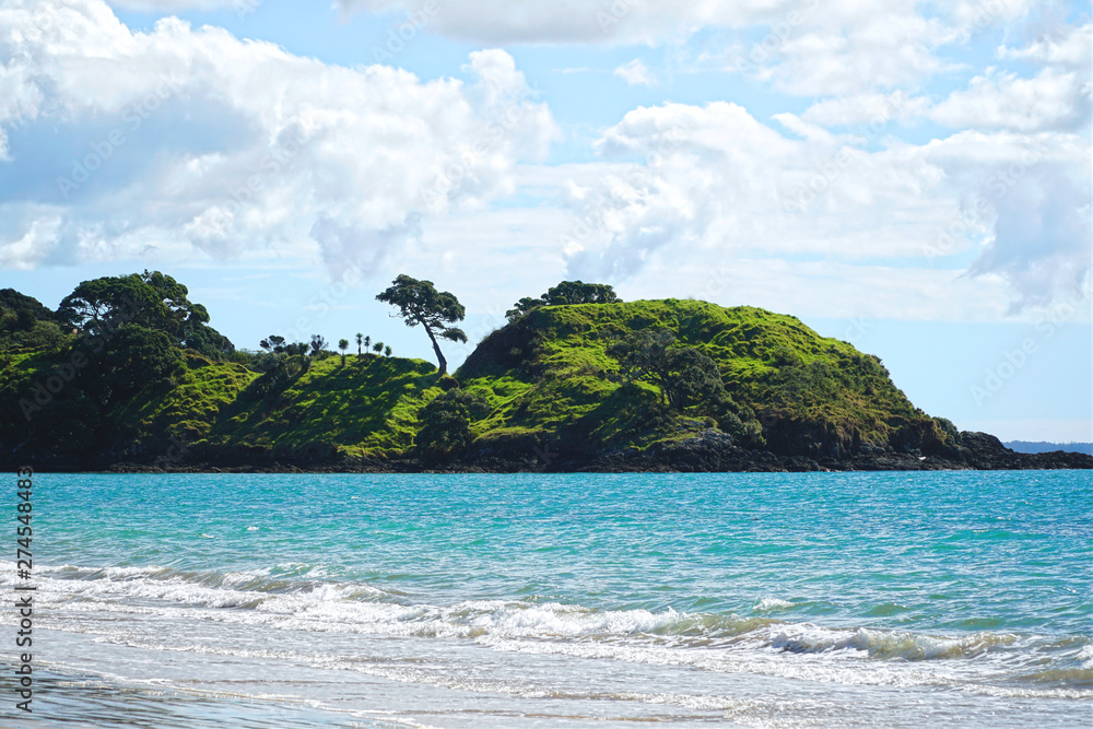 Fototapeta premium scenic picture of a bay in new zealand
