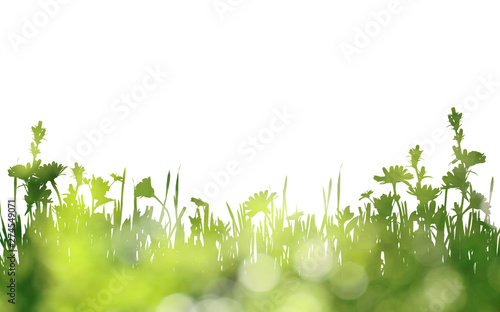 Green silhouette of grass a...