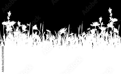 White silhouette of grass a...
