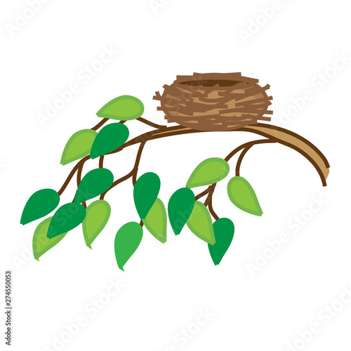 Bird's nest on a tree branch. Vector illustration. 